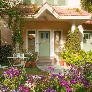 Rabbit's Burrow|1BR